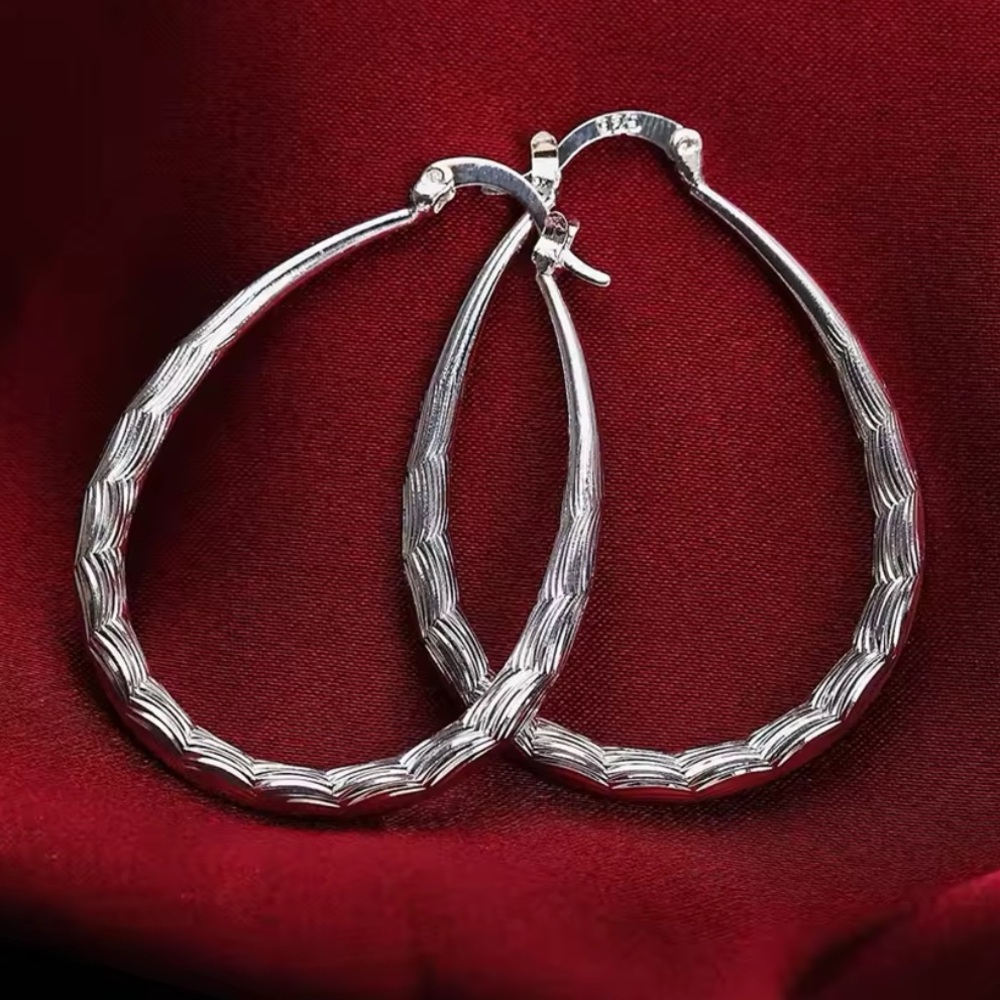 Elegant Silver Hoop Earrings